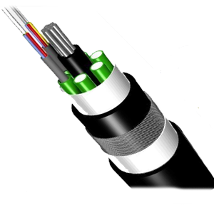 Cap-quang-2-1-300x288.png Cap-quang-2-1-300x288.png